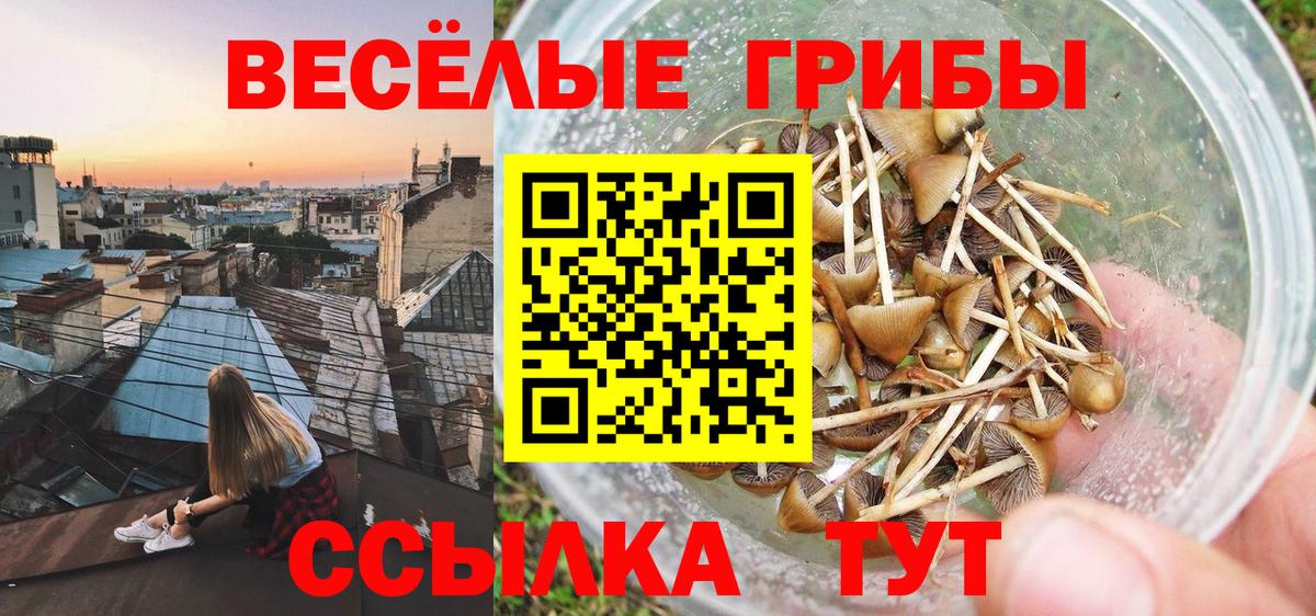 Галлюциногенные грибы мицелий  Вход с VPN  Псилоцибиновые грибы прущие грибы  Кирово-Чепецк 